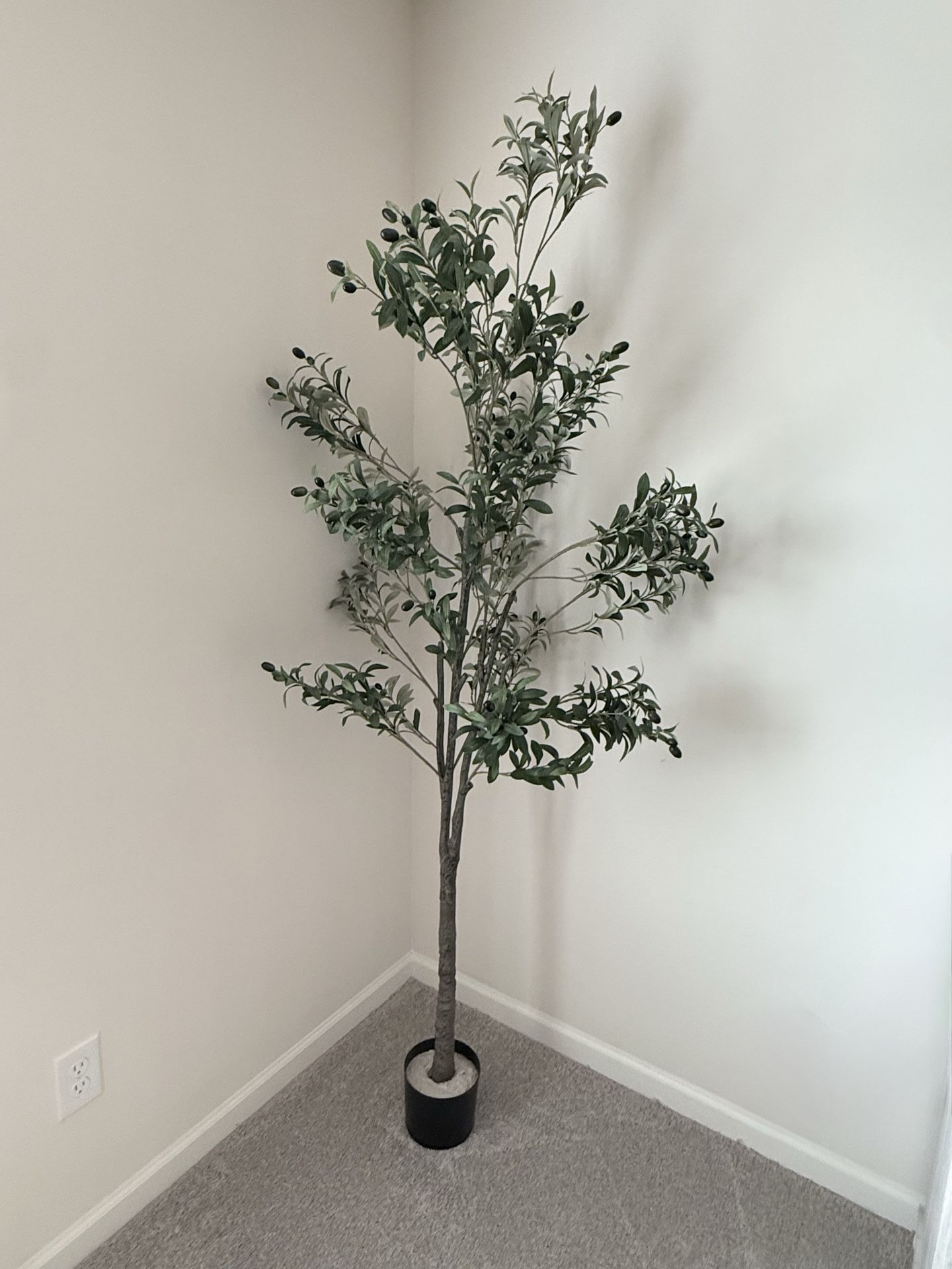 Olive plastic plant