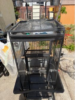 Parrot Cage