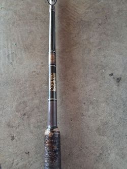 Seeker rod