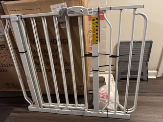 Gate for steps