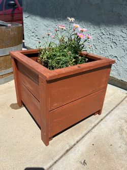 Homemade cedar wood plant boxes