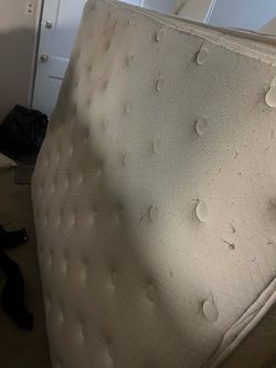 Queen bed need gone best offer!