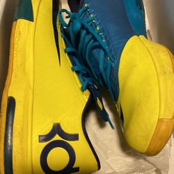 Kd Size 12