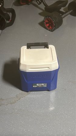 Igloo Small Portable Cooler