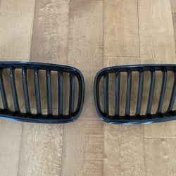 Original BMW Kidney Grille F87 Chassis