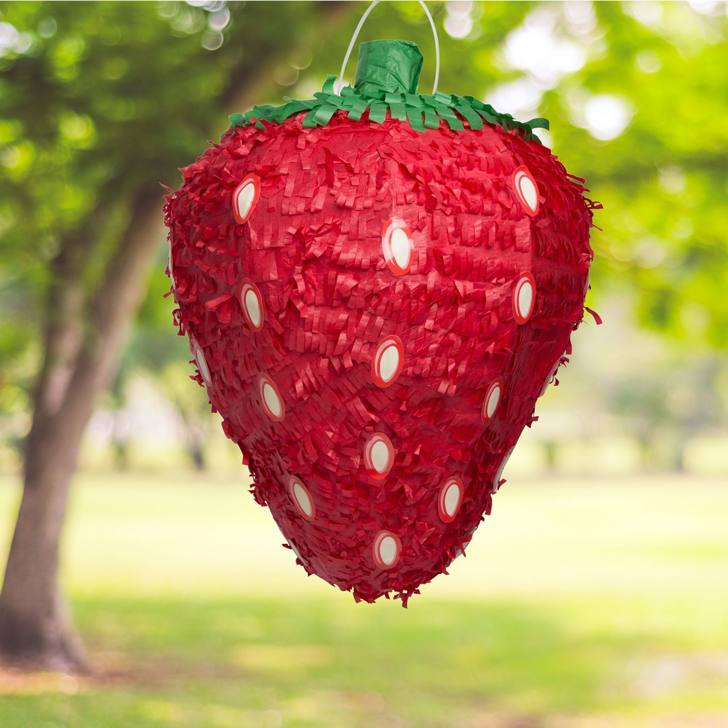 Strawberry Pinata, Red, 16in x 18in