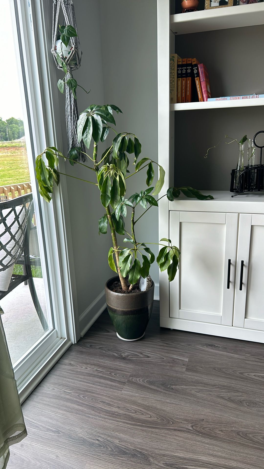 Lovely 4ft Umbrella Free $60