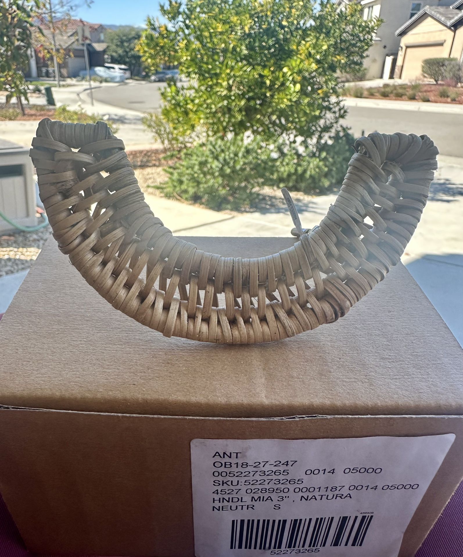 Anthropology Natural Handles 6