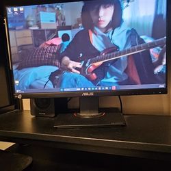 Asus Gaming Monitor
