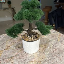 Faux Plant