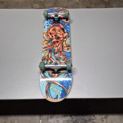 Tony Hawk Used Skateboard