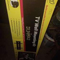 Big Screen TV Wall Mount