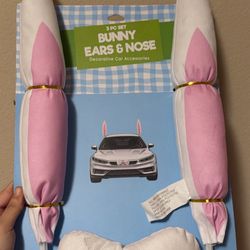 Bunny Car Ears 