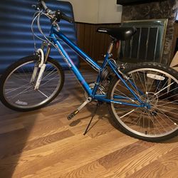 roadmaster mountain bike