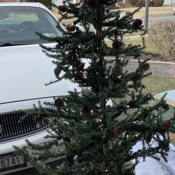 Set  Of Two Lighted Trees