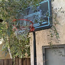 Lifetime Basketball Hoop Great Condition
