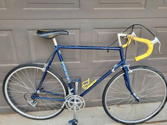 Extra Large Frame Trek Bicycle