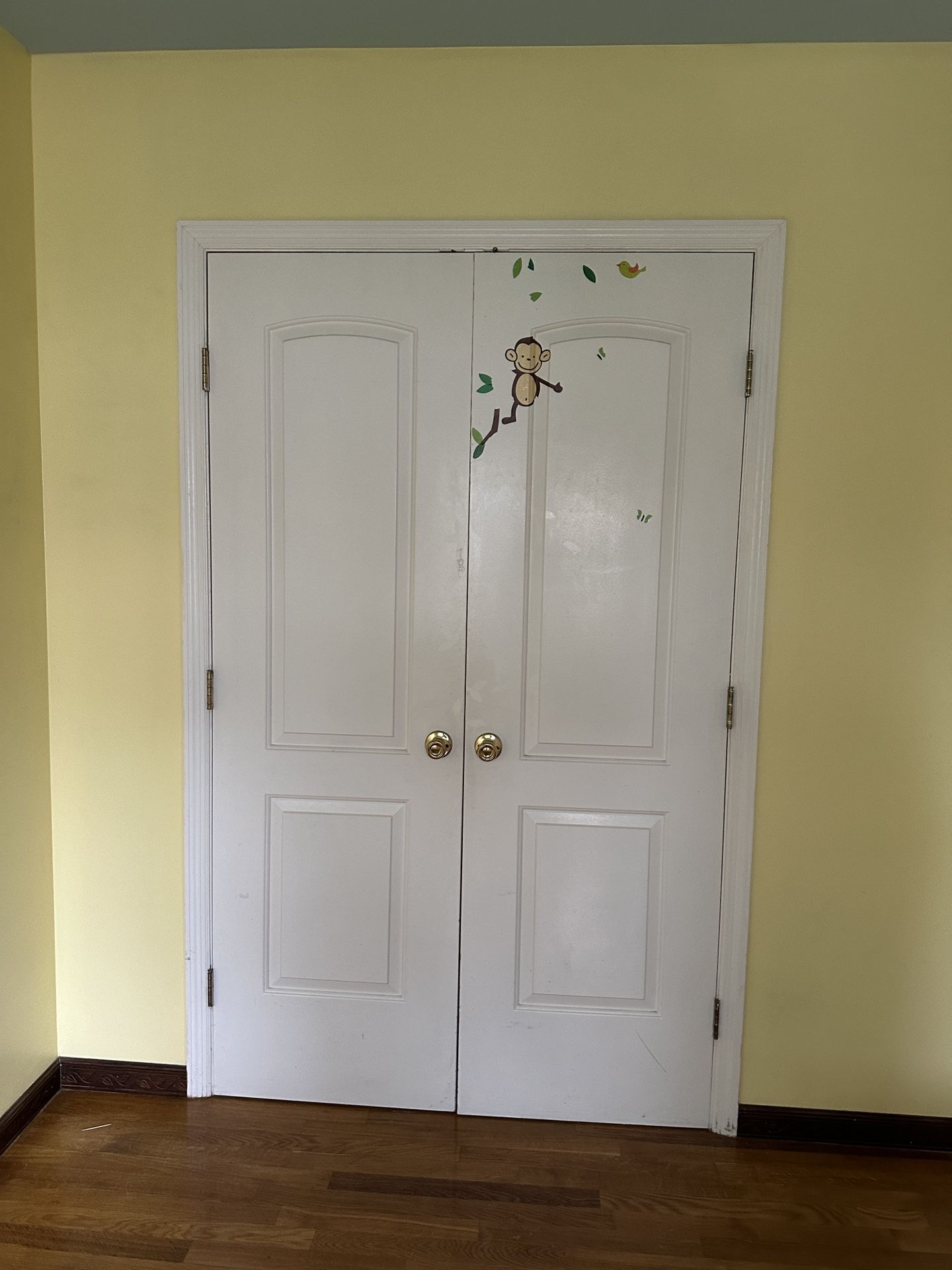 Doors 24 By 80