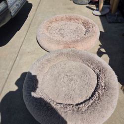 2 large Dog Beds!