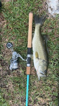 Shimano Stradic 4000 with gomeux handle