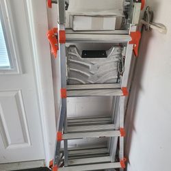 Little Giant Ladder