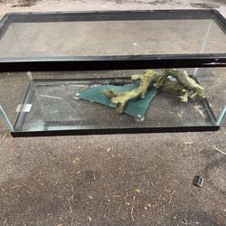 Reptile tank 20 gallon
