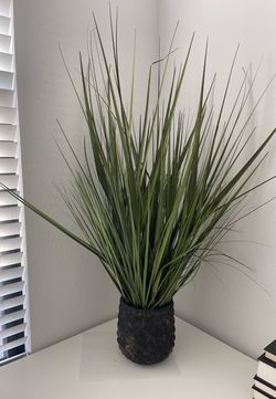 Faux Grass Plant