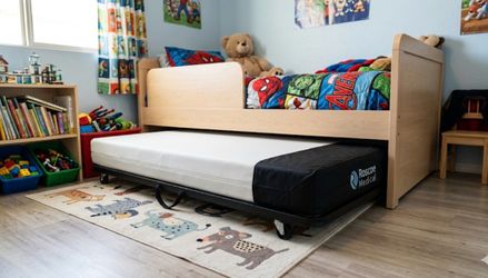 Roscoe Medical Matress