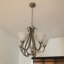 Ceiling Lamb