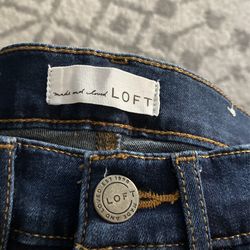 Loft Skinny Slim Jeans