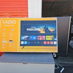 65 Inch Vizio Smart TV