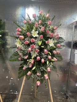Standing Spray