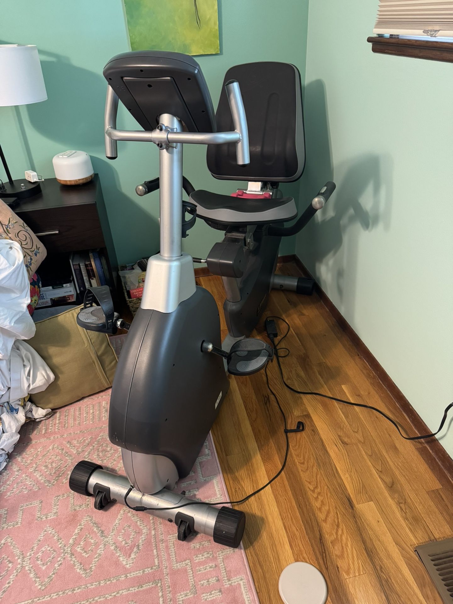 Recumbent Bike