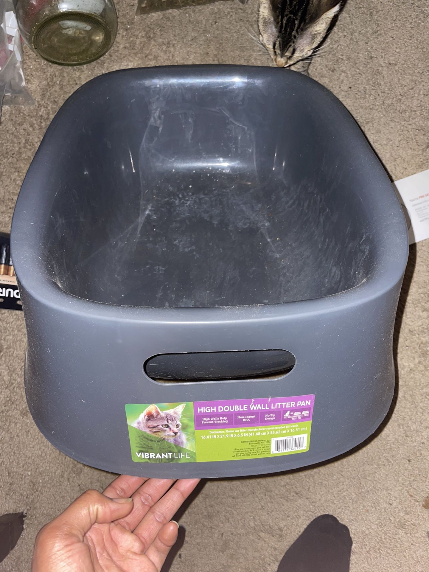 Litter Box