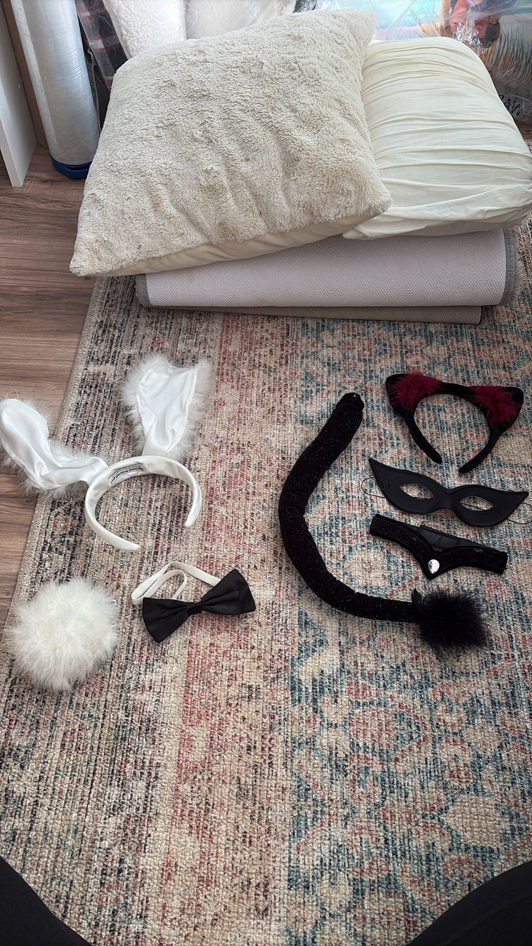 Halloween Costumes Bunny & Cat