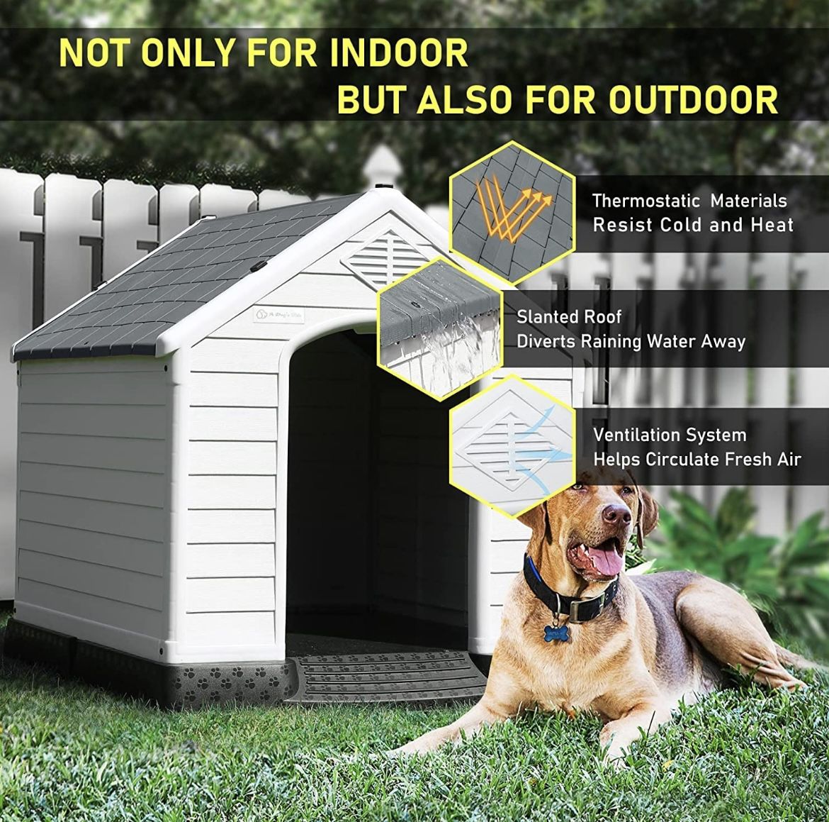 Dog house for Large Dogs