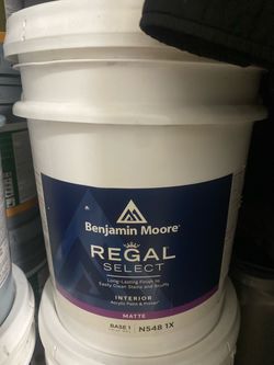 5 gallon paint (interior) white mat