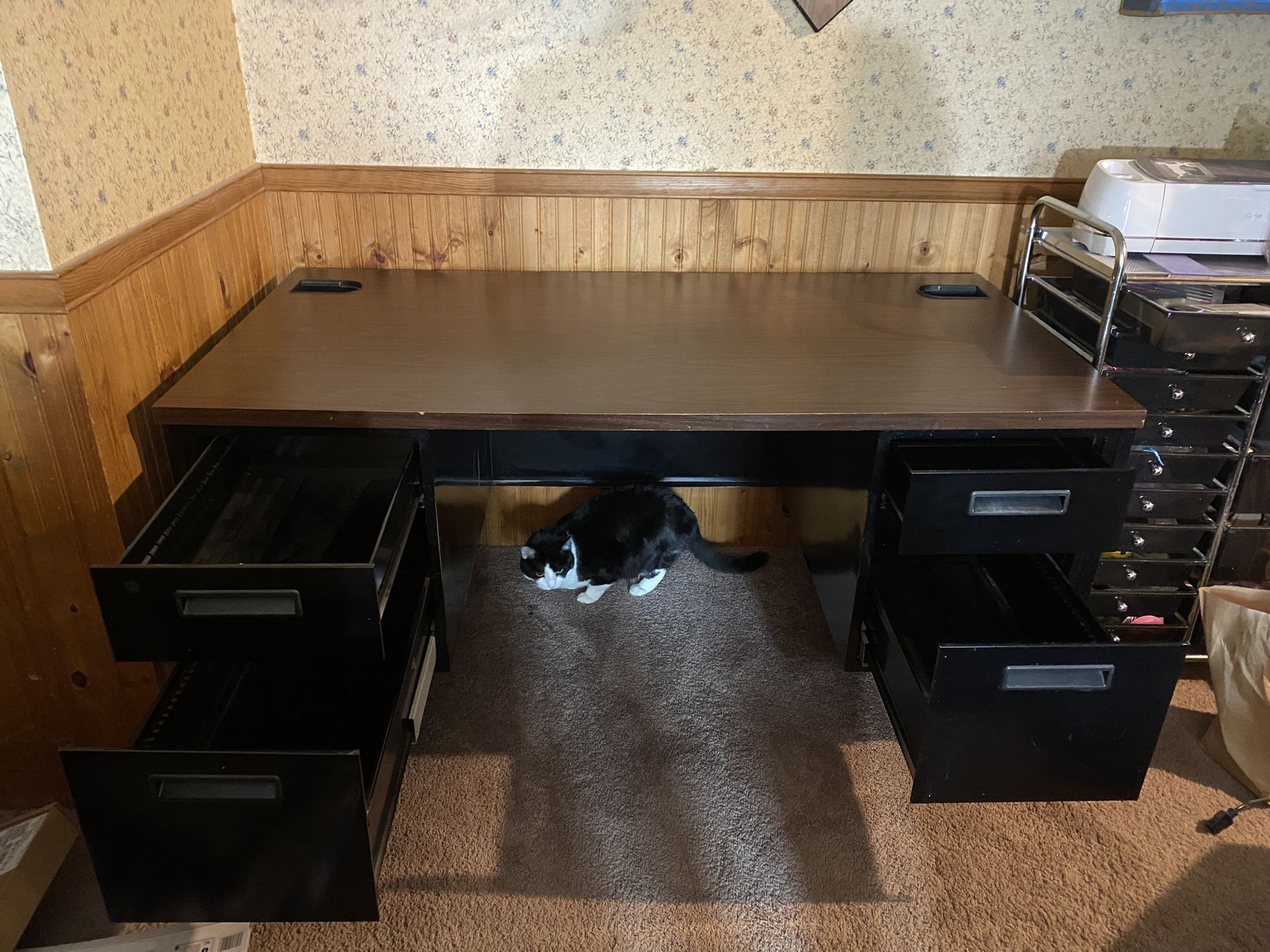 Vintage Steel Desk with Solid Veneer Top