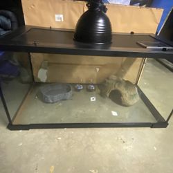Reptile Tank And Supplies!!
