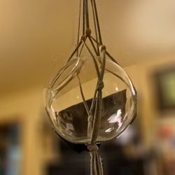 Hanging glass terrarium. 