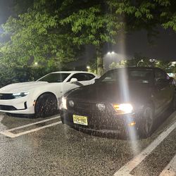 2010 Ford Mustang
