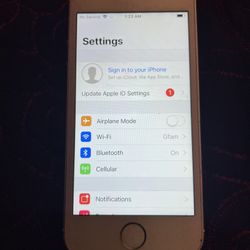 iPhone 5 Sliver 🦇