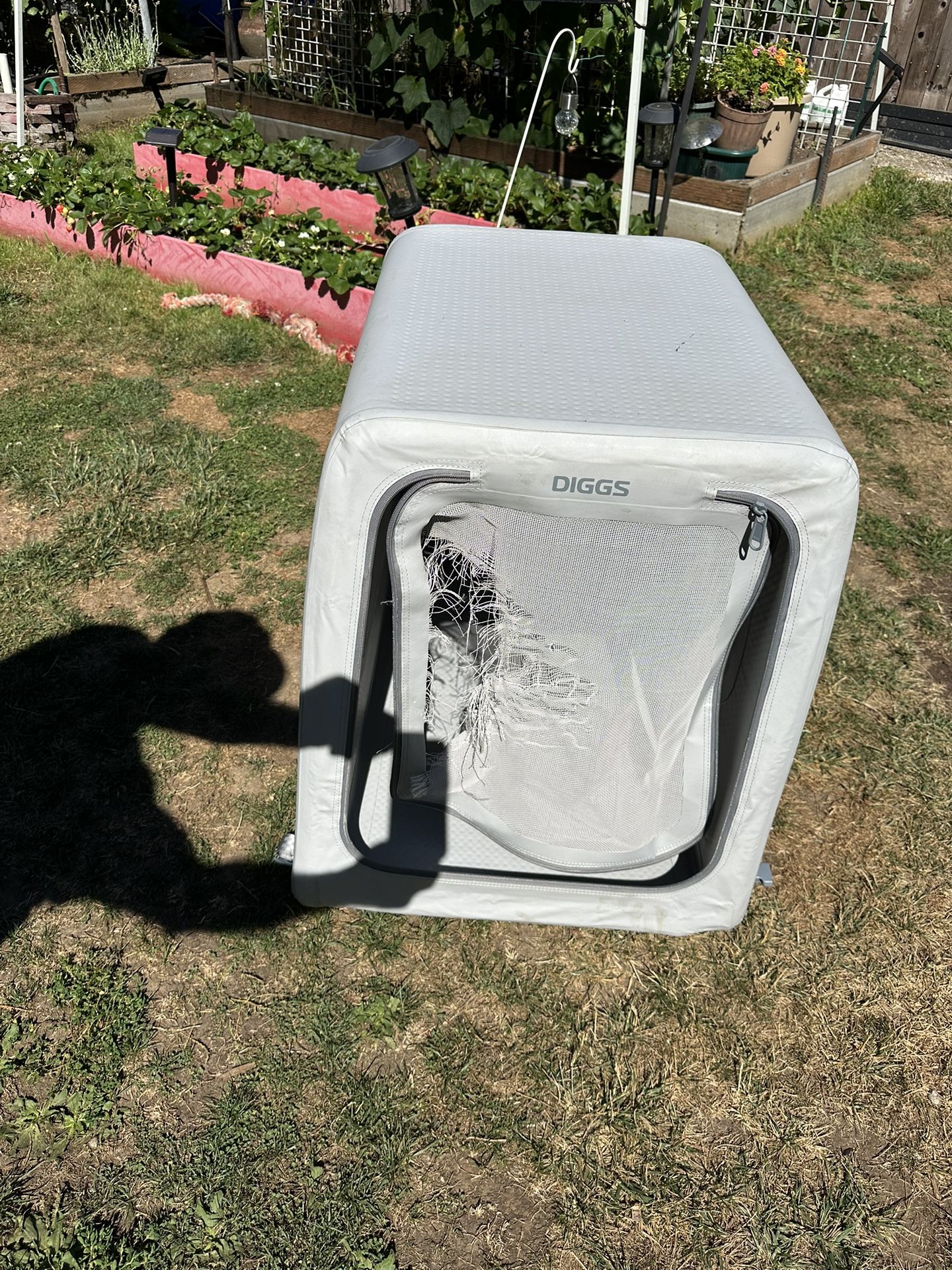 Diggs dog kennel   