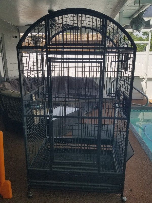 Bird Cage