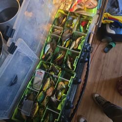 Fishing Lures, LinesAnd Bait 