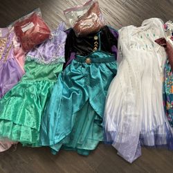 Disney Princess Costumes and Wigs