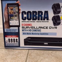 Surveillance Cameras