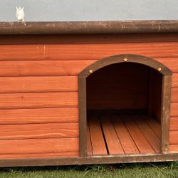 Dog House 