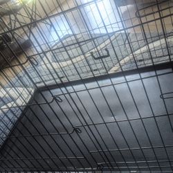 Dog Kennel 