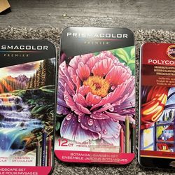 Brand New Profession Artist Coloted Pencils. 